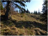 Kraljev hrib - Gradišče (Velika planina)